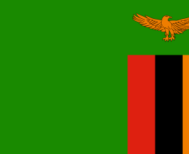 Sambian lippu
